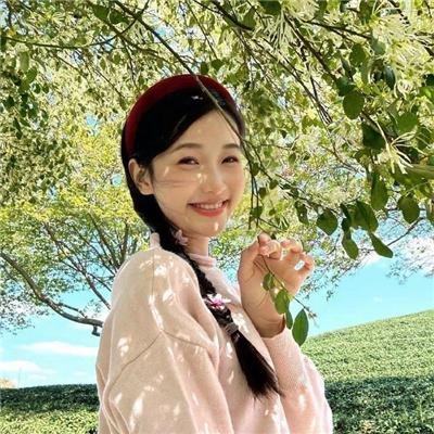 白山新歌